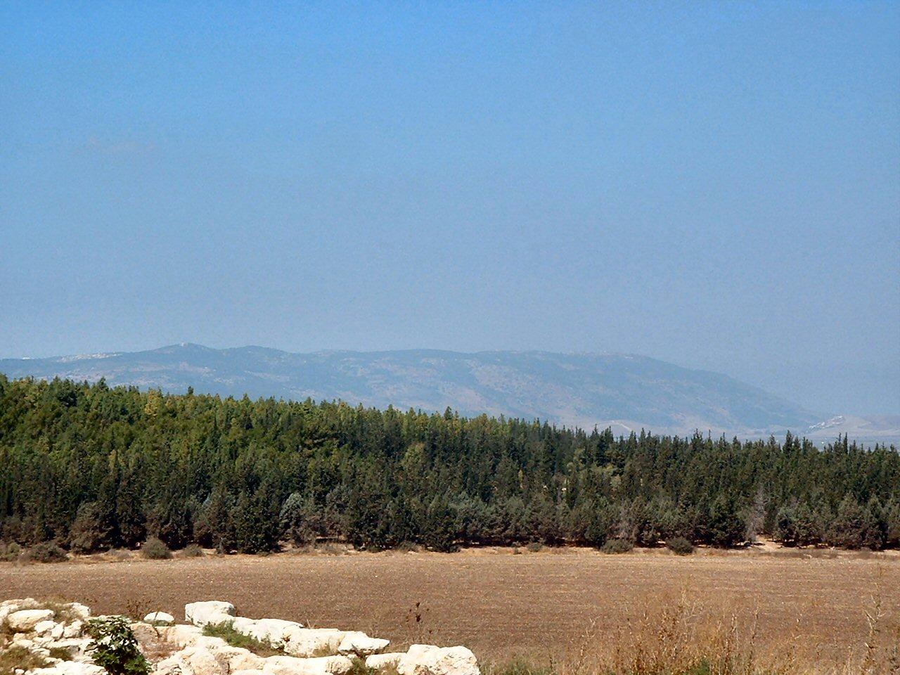 Monte Carmelo